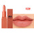 Waterproof Mist Face Silk Velvet Lipstick