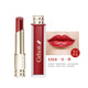 Waterproof Long Lasting Luxury Elegant Lipstick